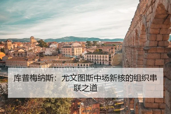 ku-pu-mei-na-si-you-wen-tu-si-zhong-chang-xin-he-de-zu-zhi-chuan-lian-zhi-dao-3-474.jpg