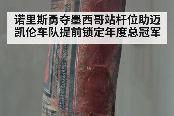 诺里斯勇夺墨西哥站杆位助迈凯伦车队提前锁定年度总冠军